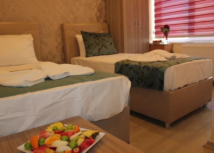 Goeruer Istanbulská provincie